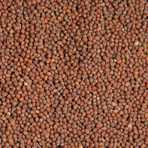 Brown Mustard Seeds