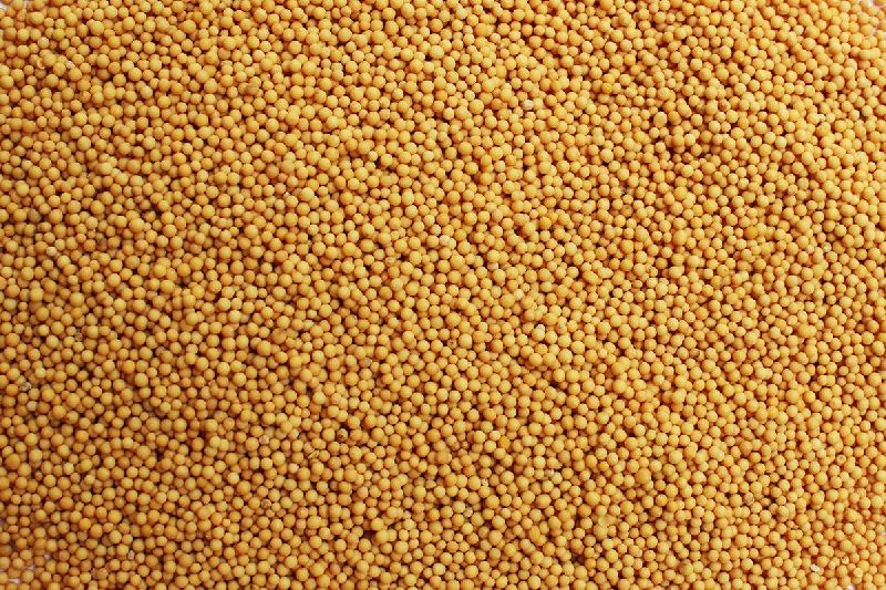 yellow mustard seeds