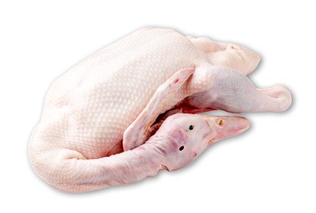 Frozen Duck Meat, Packaging Type : Plastic Packet, Plastic Poly Bag