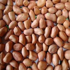 Bidicha global peanut, for Oil, Cooking, Packaging Type : Plastic Packat