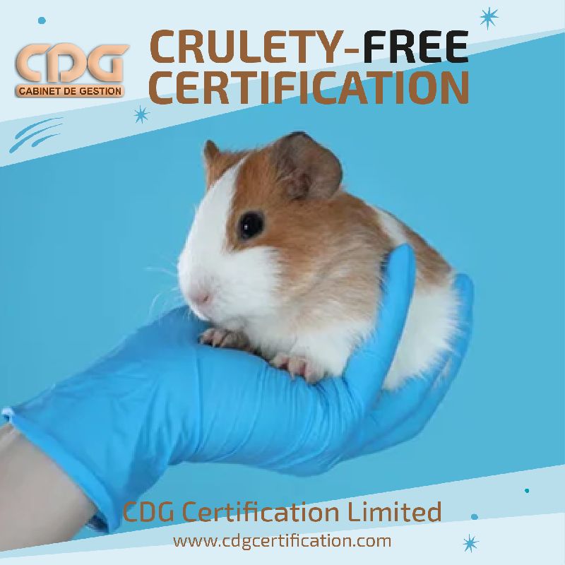 Cruelty Free Certification in Hyderabad