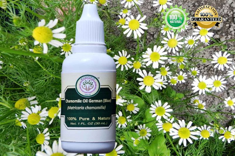 Chamomile German Essential Oil