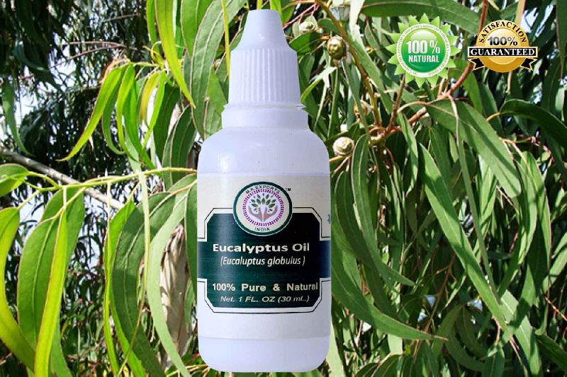 Eucalyptus Essential Oil, Color : Clear