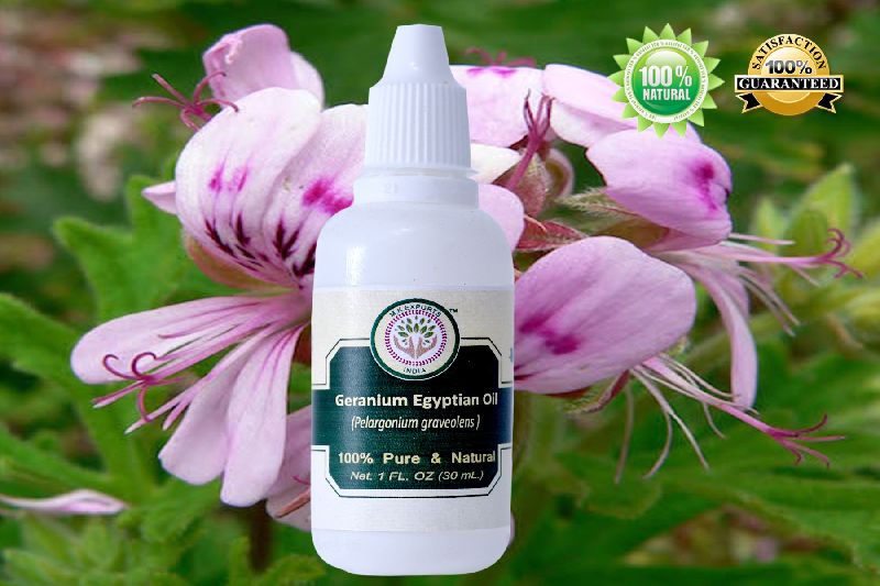 Geranium Egyptian Essential Oil