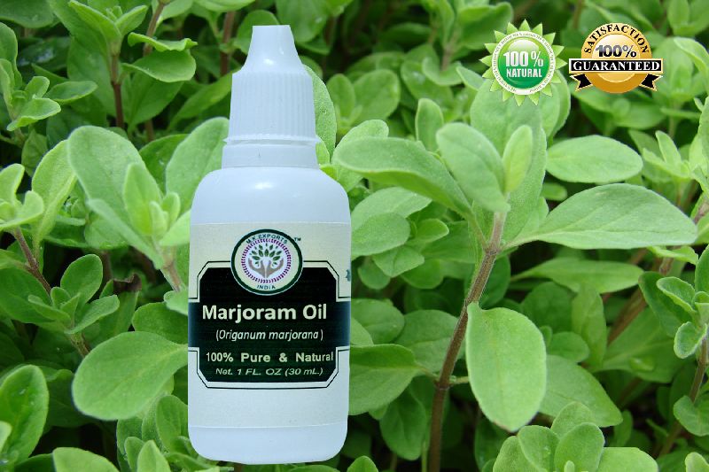 Marjoram Essential Oil, Color : Clear to Faint Yellow