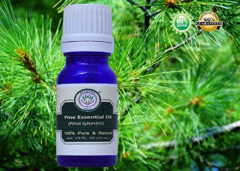 Pine Essential Oil, Color : Colorless or Pale Yellow