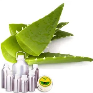 Aloe Vera Oil