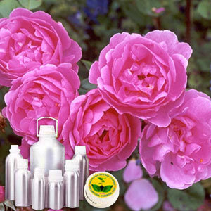 Bulgarian Rose Oil