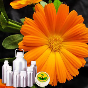 Calendula absolute oil