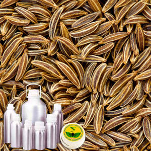 Caraway Seed Oil