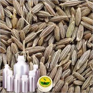 Cumin Seed Oil