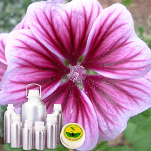 Geranium Leaf Absolute Oil