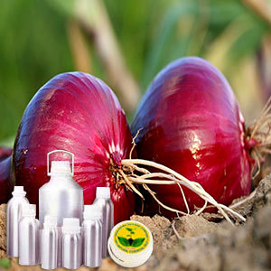 Onion Oil