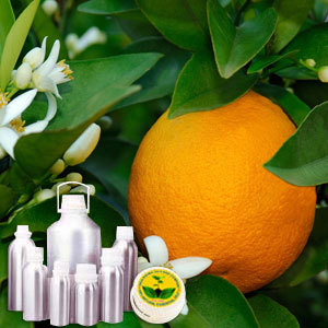 Orange Blossom Absolute Oil