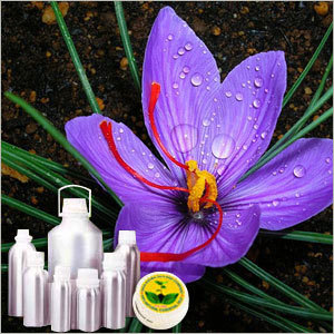 Saffron Absolute Oil