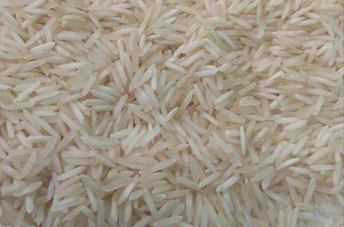 Organic Sharbati Non Basmati Rice, Packaging Type : Jute Bags