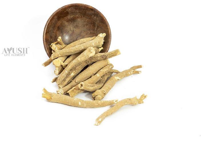 Orgherb Ashwagandha Roots, Botanical Name : Withania Somnifera