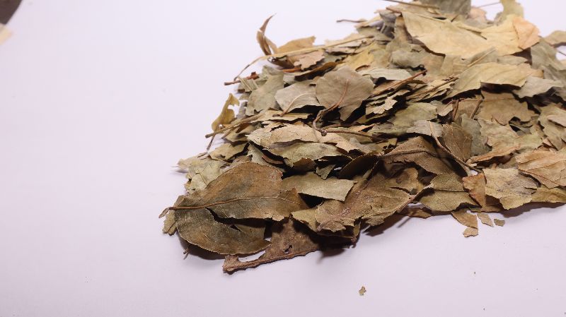 Dried Bael Leaves, Grade : Medicinal