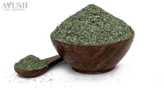  Natural Dried Indigo Leaves, for Medicine, Grade : Food Grade