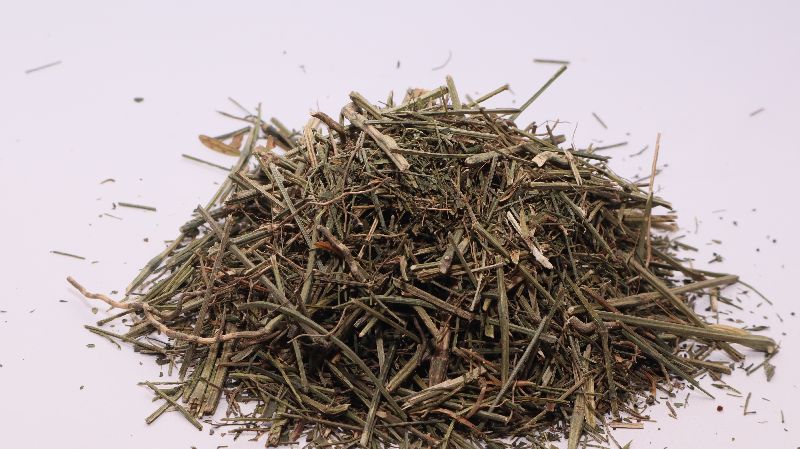 Orgherb Dried Whole Kalmegh, for Medicines, Packaging Type : Packets