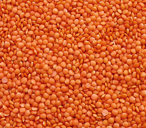 Natural Red Lentils, for Human Consumption, Feature : Easy To Cook, Healthy To Eat
