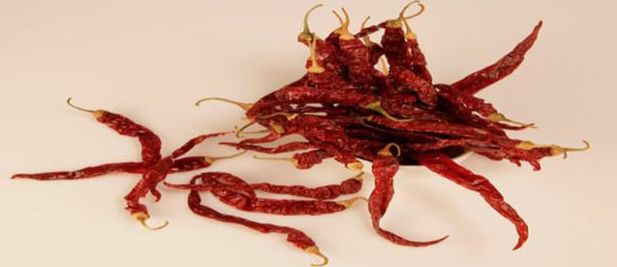 Wrinkled 273 Dried Red Chilli with Stem