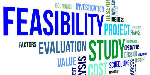 Project Feasibility Study Services