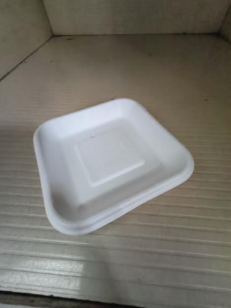 6 Inch Square Plate, for Serving Food, Pattern : Plain