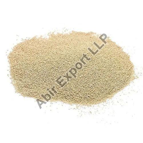 Dried Yeast Powder