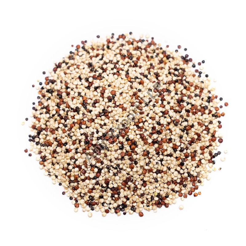 Tricolor Quinoa Seeds, Style : Dried