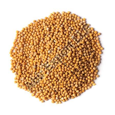 Natural yellow mustard seeds, for Spices, Cooking, Certification : FSSAI Certified