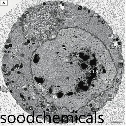 Ti3C2Tx MXene multilayer water Dispersion