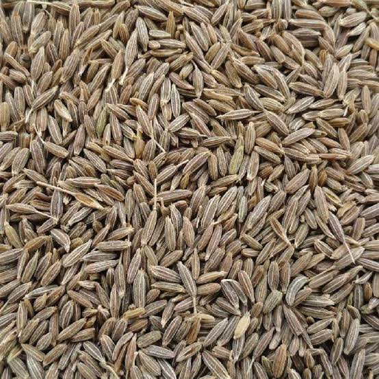 Raw Organic cumine seeds for Spices