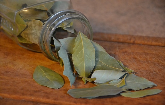 Organic Dried Bay Leaves, Packaging Type : Plastic Packet