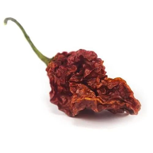 Ghost Pepper