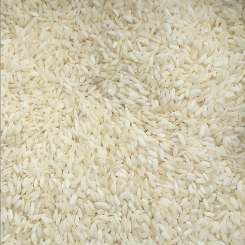 Short Grain Basmati Rice, Color : White