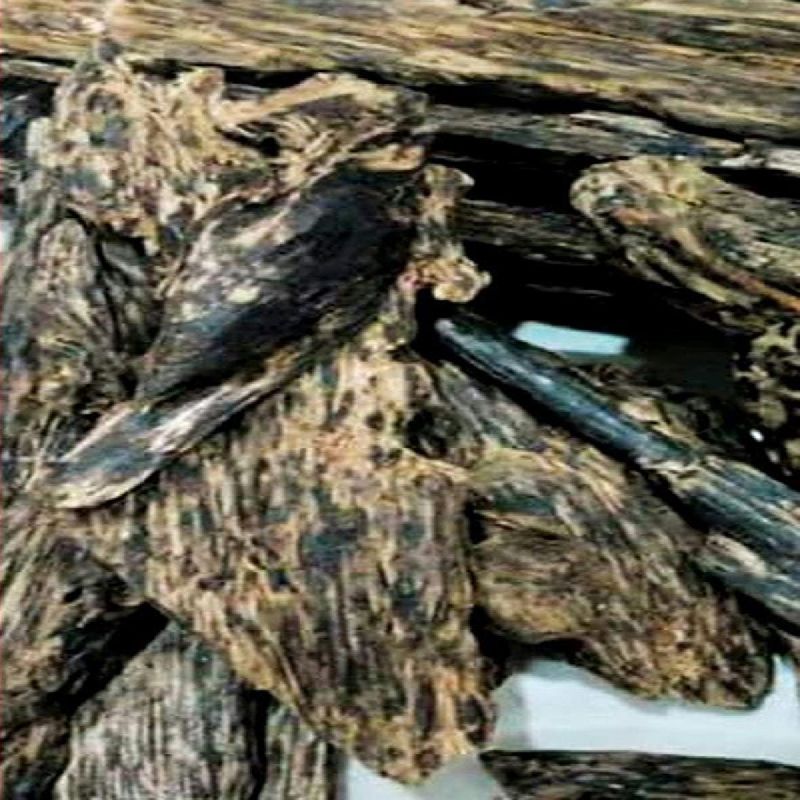 agarwood