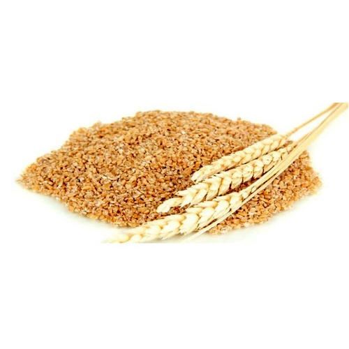 Broken Wheat Seeds