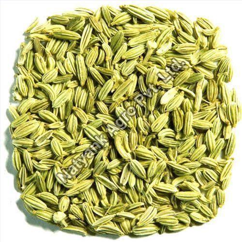 Fennel seeds, Packaging Type : Plastic Packet