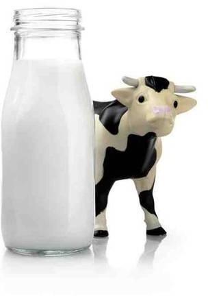 Cow milk, Certification : FSSAI