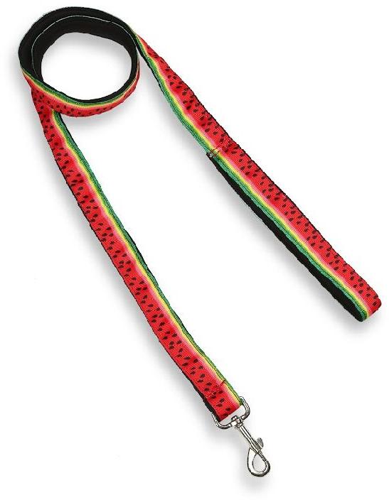 Dog Leash with Padded Handle