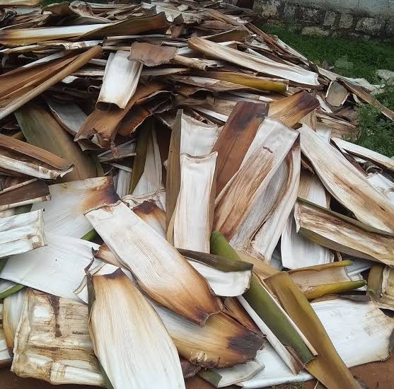 dried areca leaf