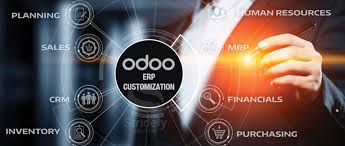 Odoo ERP Customisation Services