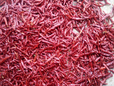 Dry red chilli, Certification : FSSAI Certified