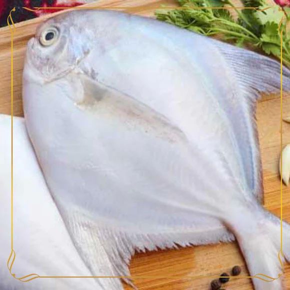 Jumbo Pomfret Fish, for Cooking, Human Consumption, Style : Fresh