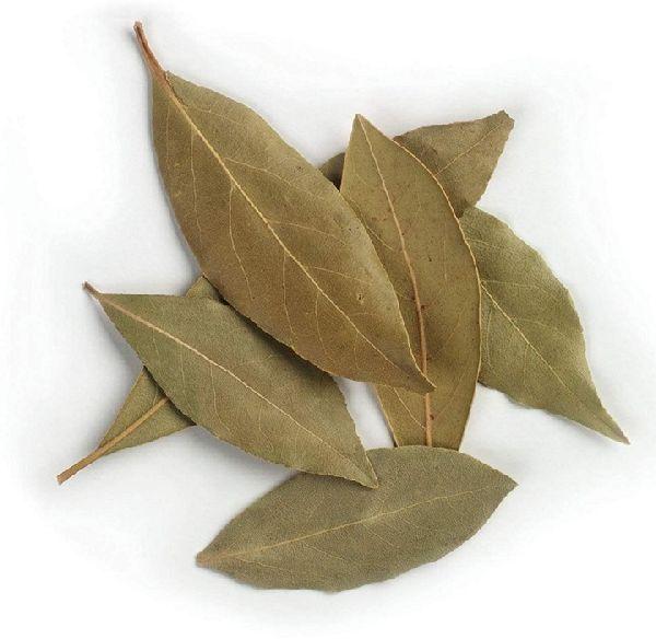 Chichi Naturals Dried Bay Leaves