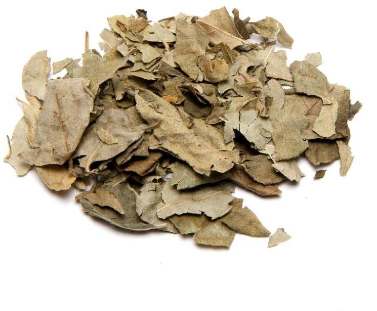 Chichi Naturals Dried Curry Patta Leaves, Packaging Size : 30gm