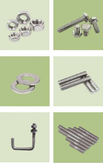 Stainless Steel Nut