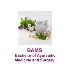 BAMS Admission Information and Course Details
