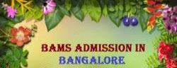 bums admission, admission counseling services